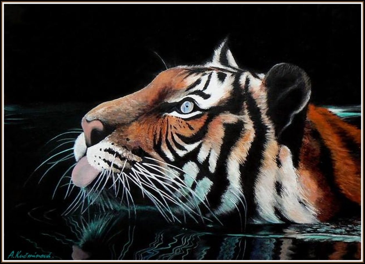 Plávajúci tiger 50x70, olej